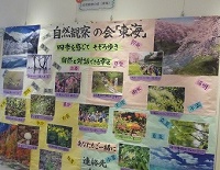 ギャラリー展示