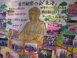 手書きの絵と写真による活動発表